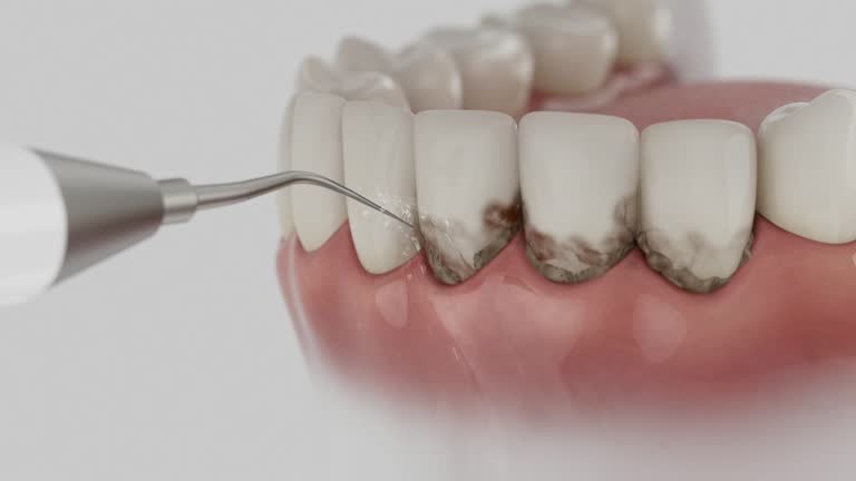 Reliable Dental contractor in Colesville, MD by Dentist Open Now